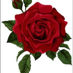 Meet your Posher, Xavier